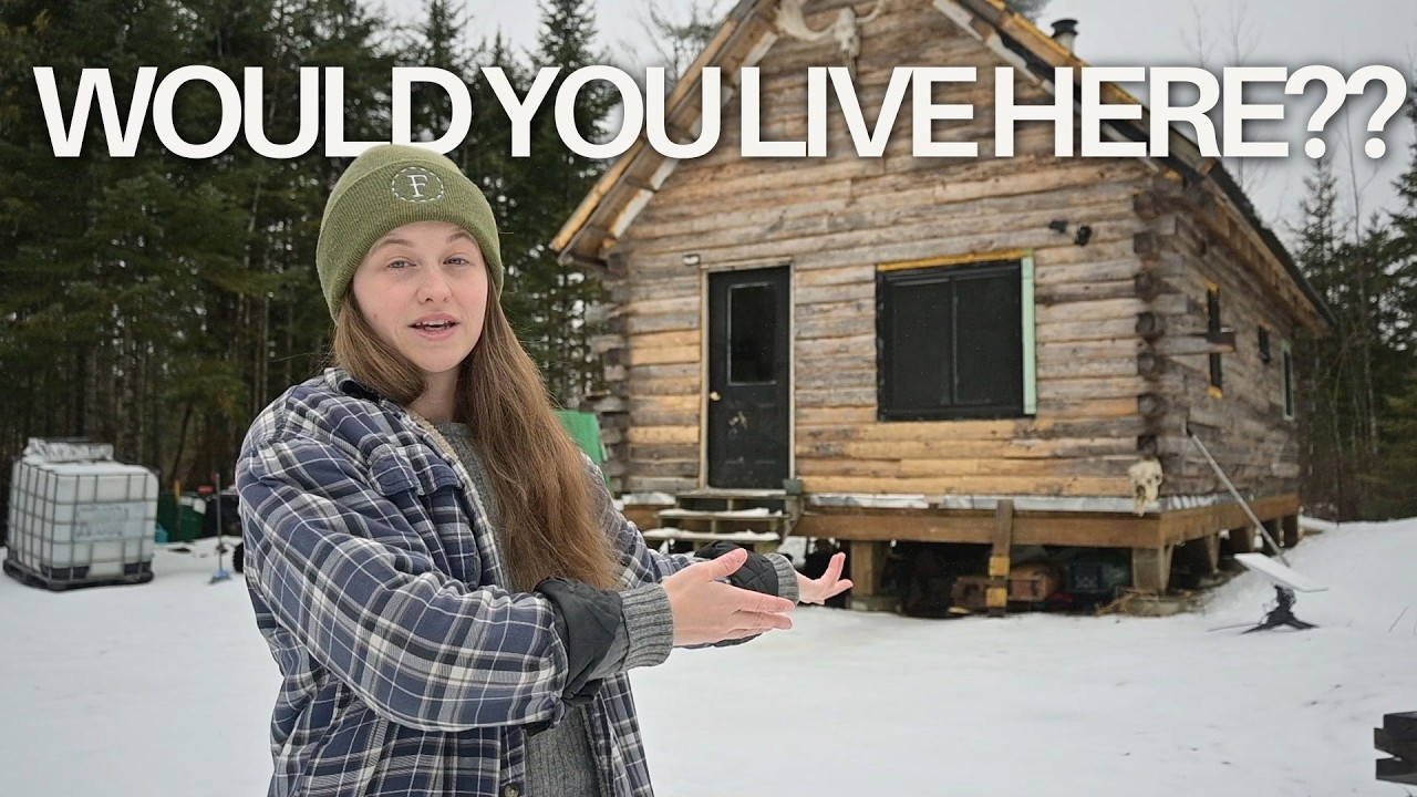 Off Grid Log Cabin Q&A: Building a Debt Free Cabin in the Maine Woods ...