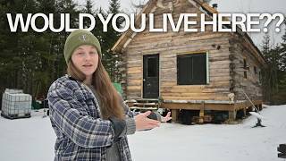 Off Grid Log Cabin Q&A: Building a Debt Free Cabin in the Maine Woods