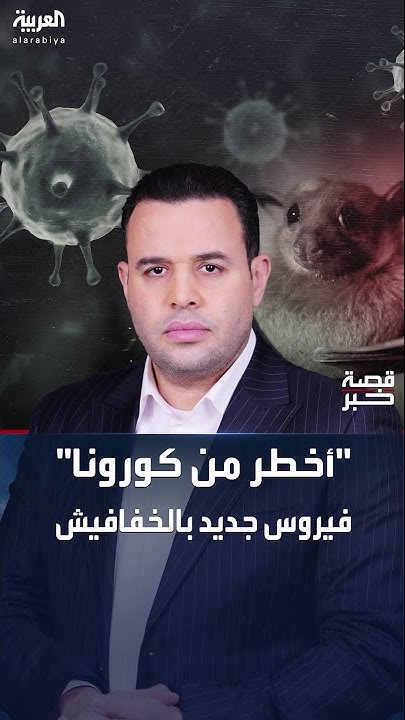       -  -   
 - نشر قبل 2 ساعة