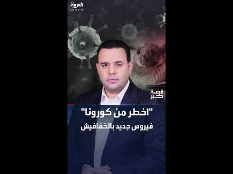 فيروسات قاتلة جديدة في خفافيش الصين أخطر من كورونا تهدد بوباء عالمي
