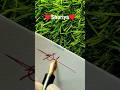 вќ пёЏ How To Sign Name Shariya вќ пёЏ Handwriting Calligraphy Art Signature вќ пёЏ How To Sign Name Shariya вќ пёЏ Handwriting Calligraphy Art Signature