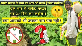 whitefly insect control | whitefly control pesticides | Whitefly | Safed Makhi Ki Dawa |