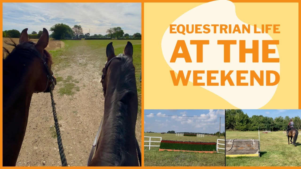 EQUESTRIAN LIFE AT THE WEEKEND Rabson Manor XC Equestrian Vlog