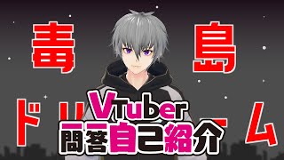 「【自己紹介】Vtuber一問一答自己紹介【毒島夢/新人Vtuber】」のサムネイル