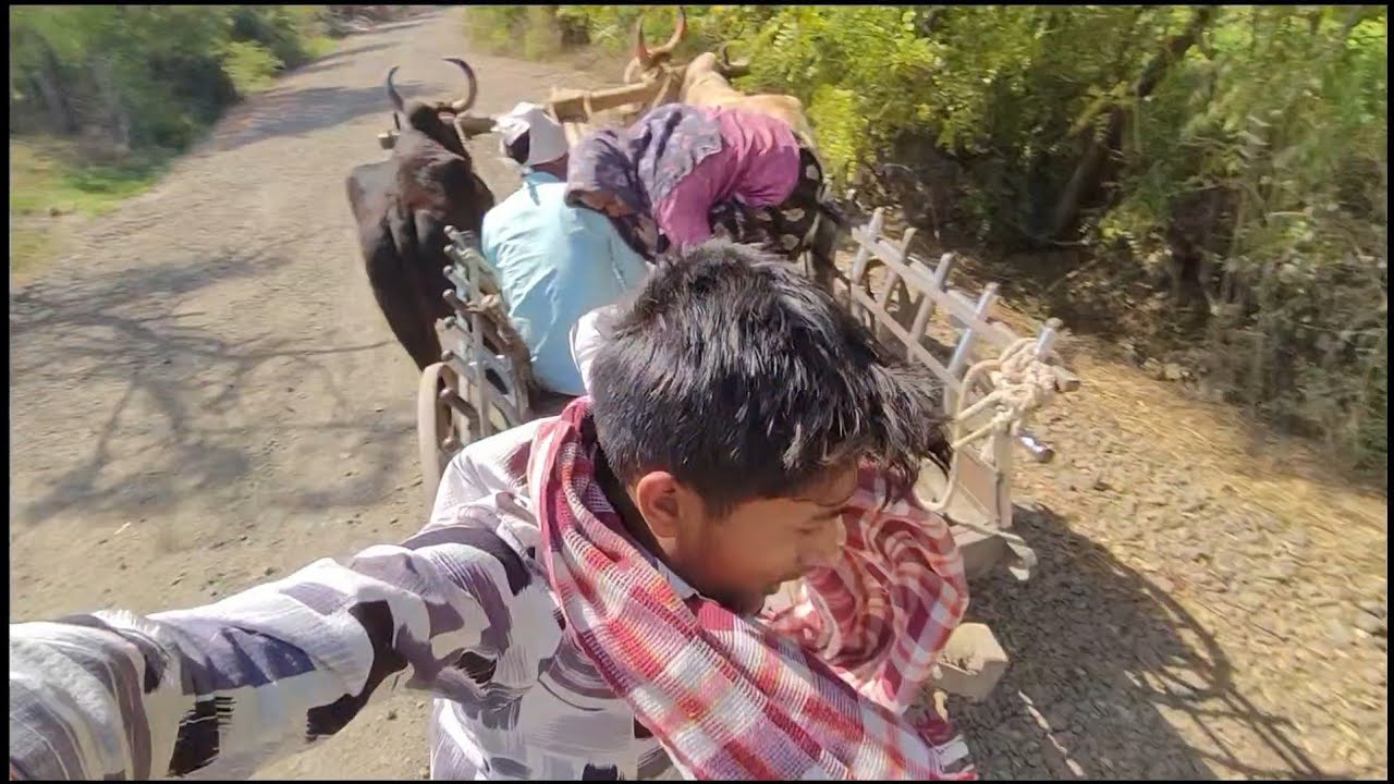 Bailgadi se niche utarte samay chhalang maar Di