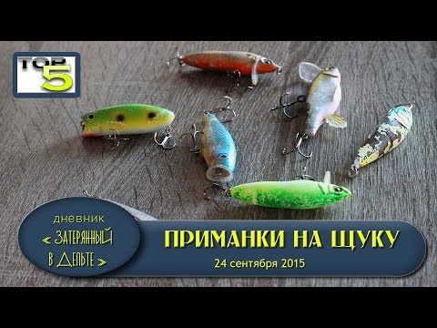 Рыбалка в Астрахани.
