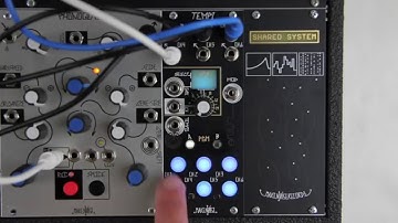 Make Noise TEMPI Pt. 3: Machine Programming and MUTE