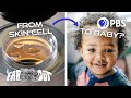 How to Turn Skin Cells Into a Baby