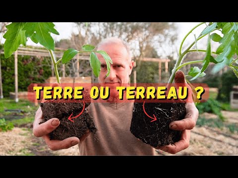 Terre ou terreau pour nos semis en contenant ? #potager hqdefault