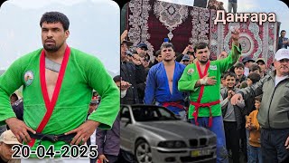 картинка: Гуштини Себистони н. Дангара 20-04-2025