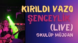 Kırıldı Vazo - Şenceylik (Live) @Ankara Kulüp Müjgan 24.11.2023