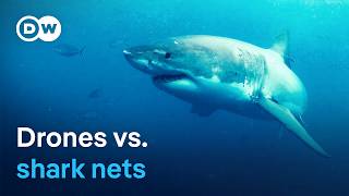 High-tech shark deterrence - Australia's new strategy for safe beaches | DW Documentary