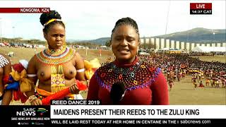 Hundreds of maidens attend Reed Dance in KZN