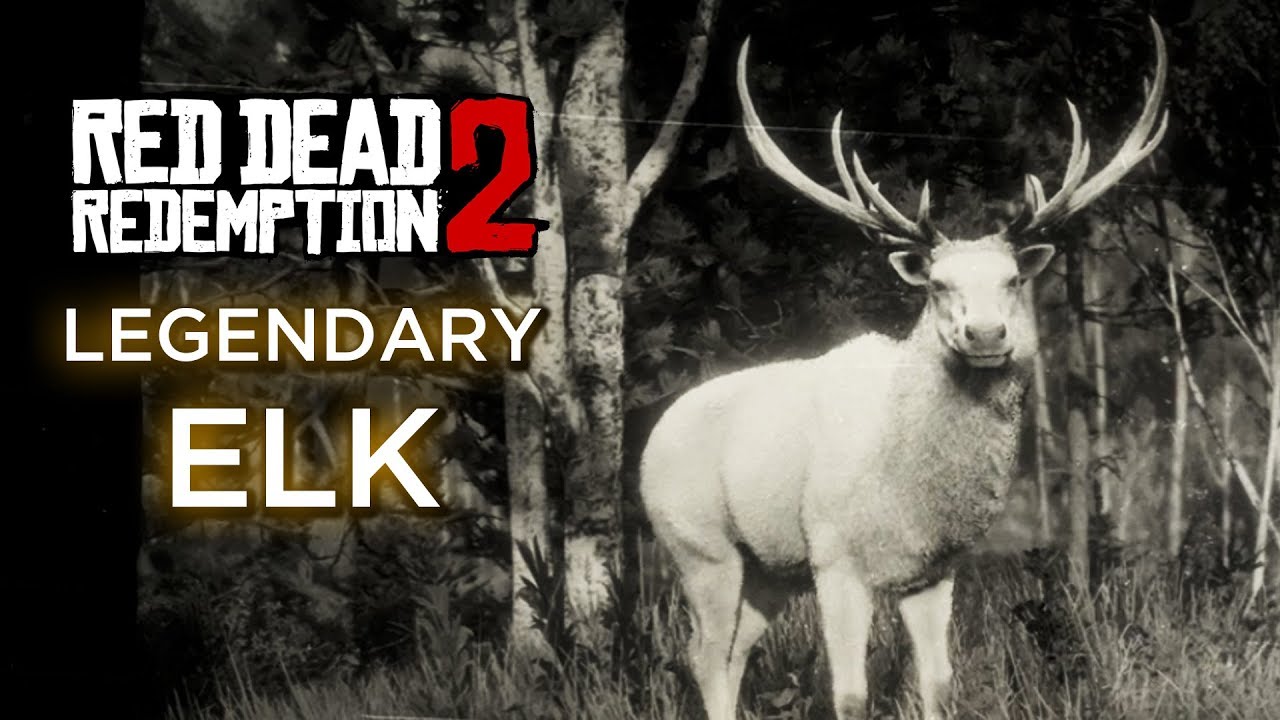Red Redemption 2 - Elk - YouTube