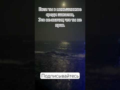 #motivation #motivational #рекомендации #успех #жизнь #любовь #мотивациянауспех #мотивациядня #топ
