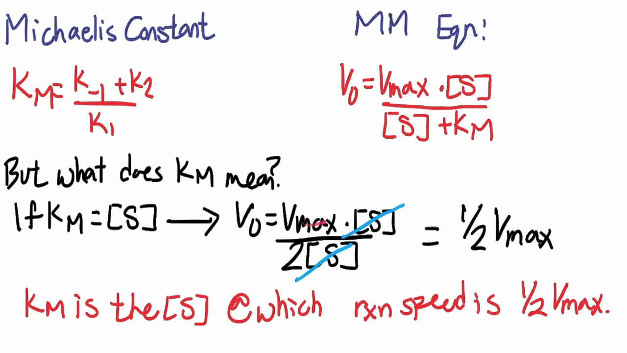 Enzyme Kinetics Review YouTube enzyme-kinetics-review-youtube