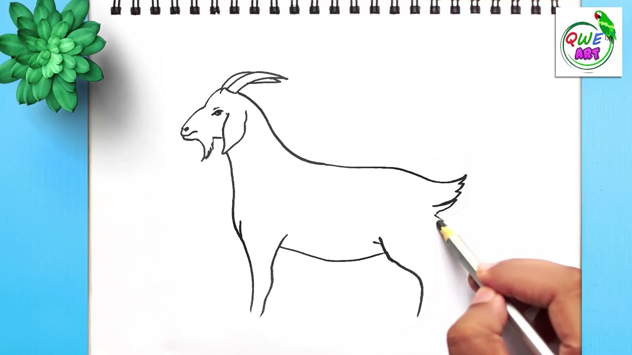 How to Draw a Goat with Pen and Ink