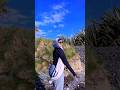 Najma Nashaad Freestyle Duet Niiko Xamarcadeey Najma Nashaad Freestyle Duet Niiko Xamarcadeey