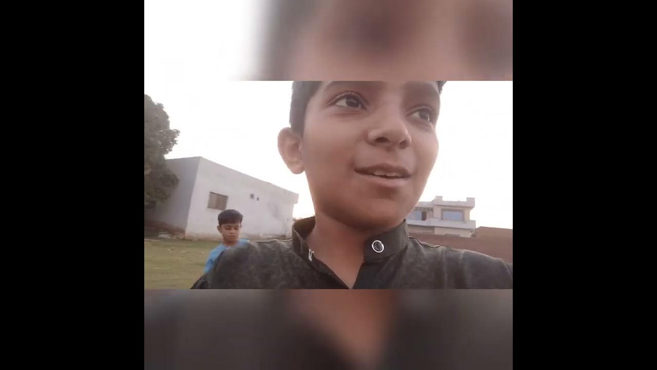 dog-race-youtube