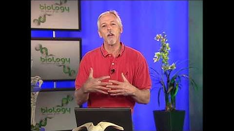 Biology: The Fabric of Life - Palomar College