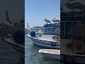 Bostanlı