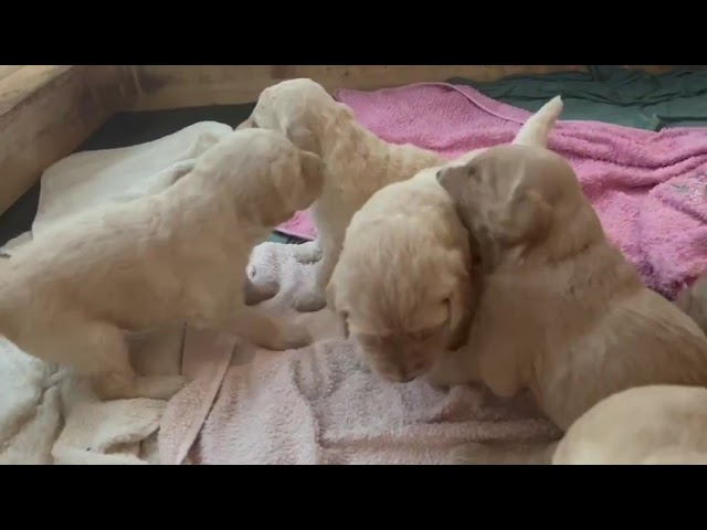 Morgentraining schon um 4 Uhr in der Früh