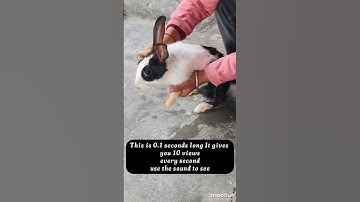 This is 0.1 seconds long It gives you 10 views every second use the sound to see#trending #shorts