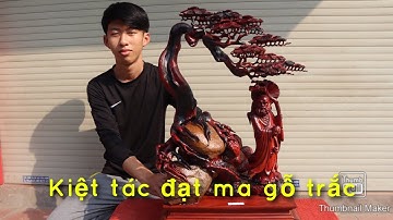 Tượng gỗ: Đạt ma  đứng cây tùng gỗ trắc đỏ đen | Kiệt tác mỹ nghệ đục kĩ sắc nét | xưởng_tượng_gỗ