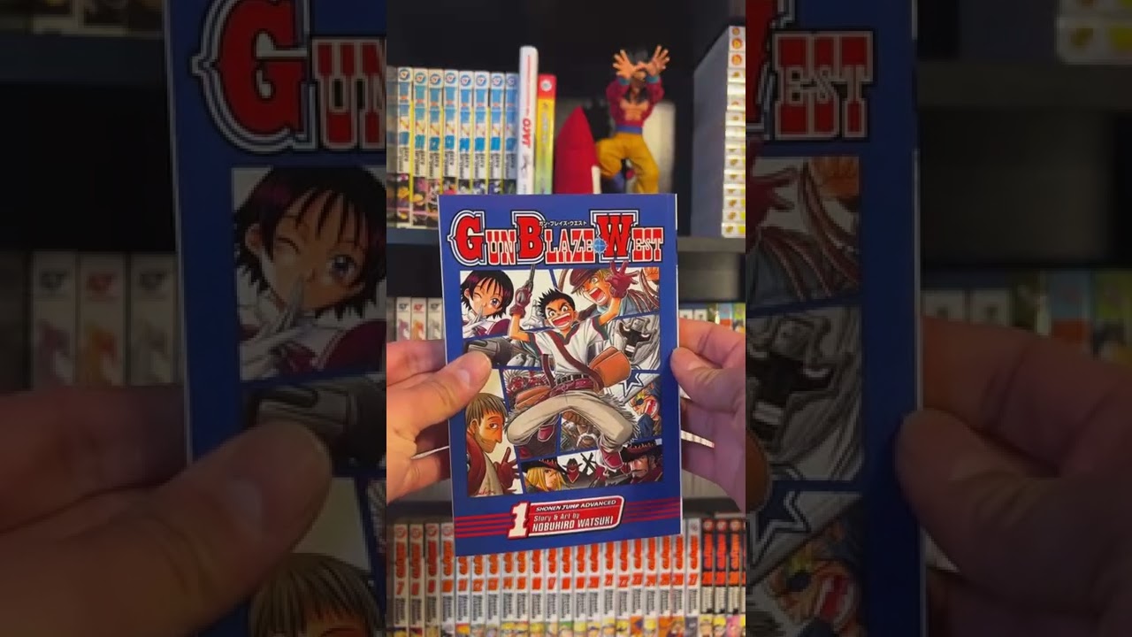 Manga Shopping at Barnes & Noble and Local Manga Store 