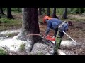 Garden and Forest Original YouTube Video - Chainsaw Husqvarna 562 XP