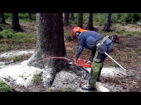 Video Garden and Forest Original YouTube Video - Chainsaw... - youtube