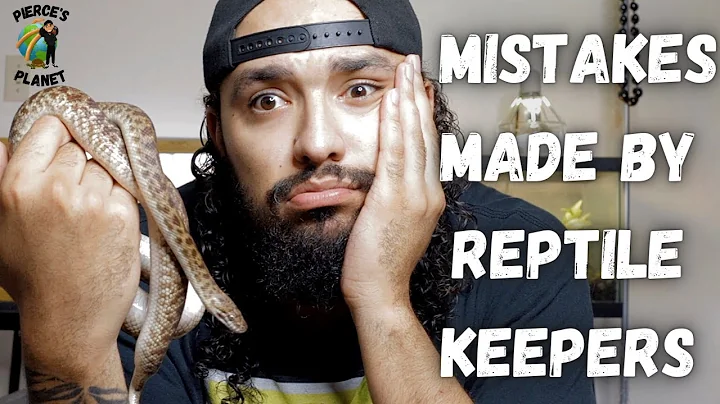 Top 5 Mistakes Made By Reptile Keepers & How To Fix Them!