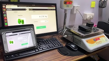 Odoo POS Weighing Scale (V14)
