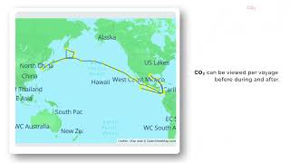 Vasco systems have developed software for Emissions and voyage management screenshot 2