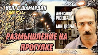 Размышление На Прогулке (А.розенбаум). Исп. В.шамардин