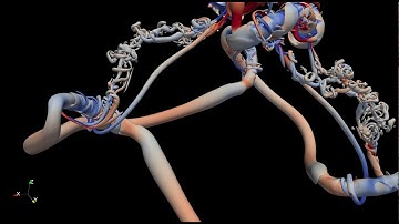 Direct-Numerical and Large-Eddy Simulation of Trefoil Knotted Vortices (2021)