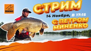 Подготовка К Чёрной Пятнице! Стрим С Петром Миненко!