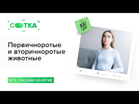 Первичноротые и вторичноротые животные | БИОЛОГИЯ ЕГЭ | СОТКА