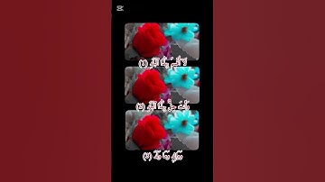 سورة البلد من الاية 1 الى الاية 12 #سعد_الغامدي #قران_كريم #quran #لايك #اكسبلور #متابعة