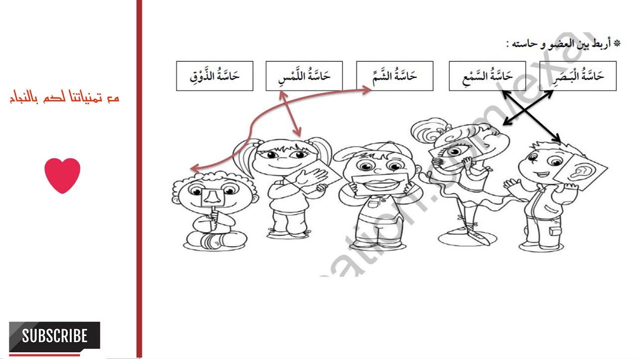 امتحانات الفصل الثاني محلولة  في مادة التربية العلمية لتلاميذ السنة الأولى ابتدائي -2018