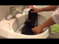 Cách gội tóc giả (How to wash your clip in hair extensions)