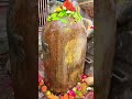 Mahadev #love #song #viral #youtubeshorts #viralshorts #trending #shiv #delhi #bhakti #viralsong