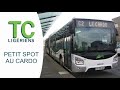 Petit spot  passages de bus et cars au cardo