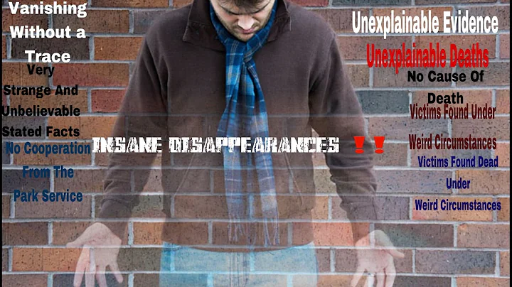 INSANE DISAPPEARANCES   William Hurley