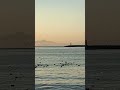 вид на вулкан Тятя на закате #вулкан #nature