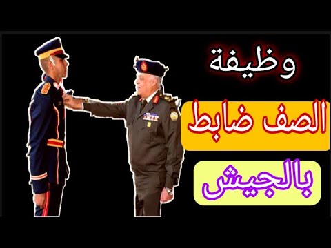 فيديو: ما هي وظائف الجيش الست القتالية؟