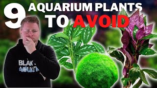 9 Plants to AVOID in your Aquarium - Beginner Aquarium Plant Guide