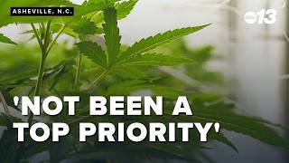 Crime data shows marijuana is often present, but usually a secondary offense in Asheville cases