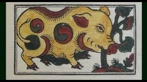 Nghe chuyện về tranh dân gian “lợn ăn cây ráy và lợn đàn”| VTC14