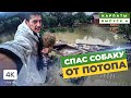 Спас Собаку от Потопа. Последствия Стихии. Наводнение в Карпатах. Яремча, Микуличин, Буковель.